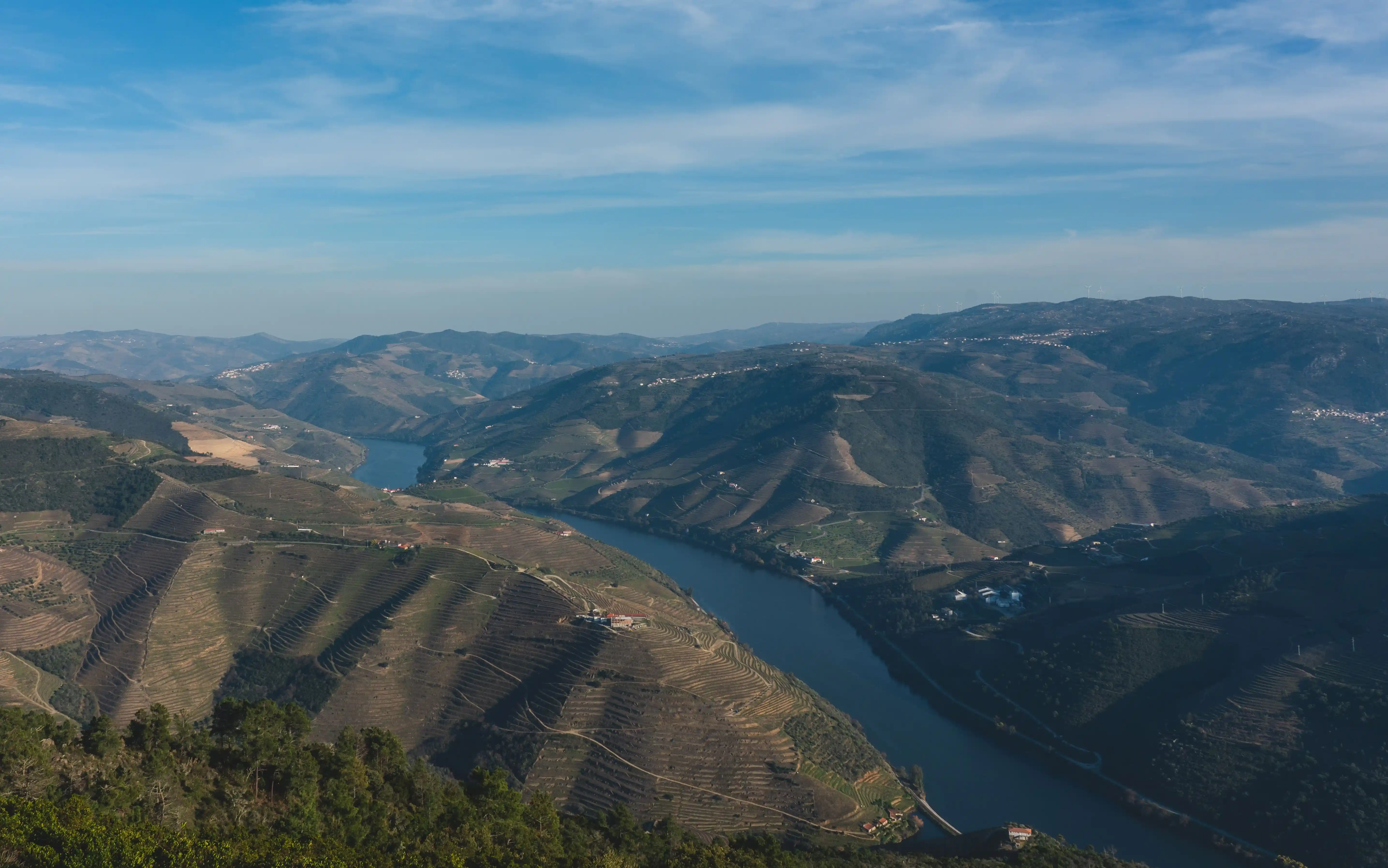 Vinhas do Vale do Douro