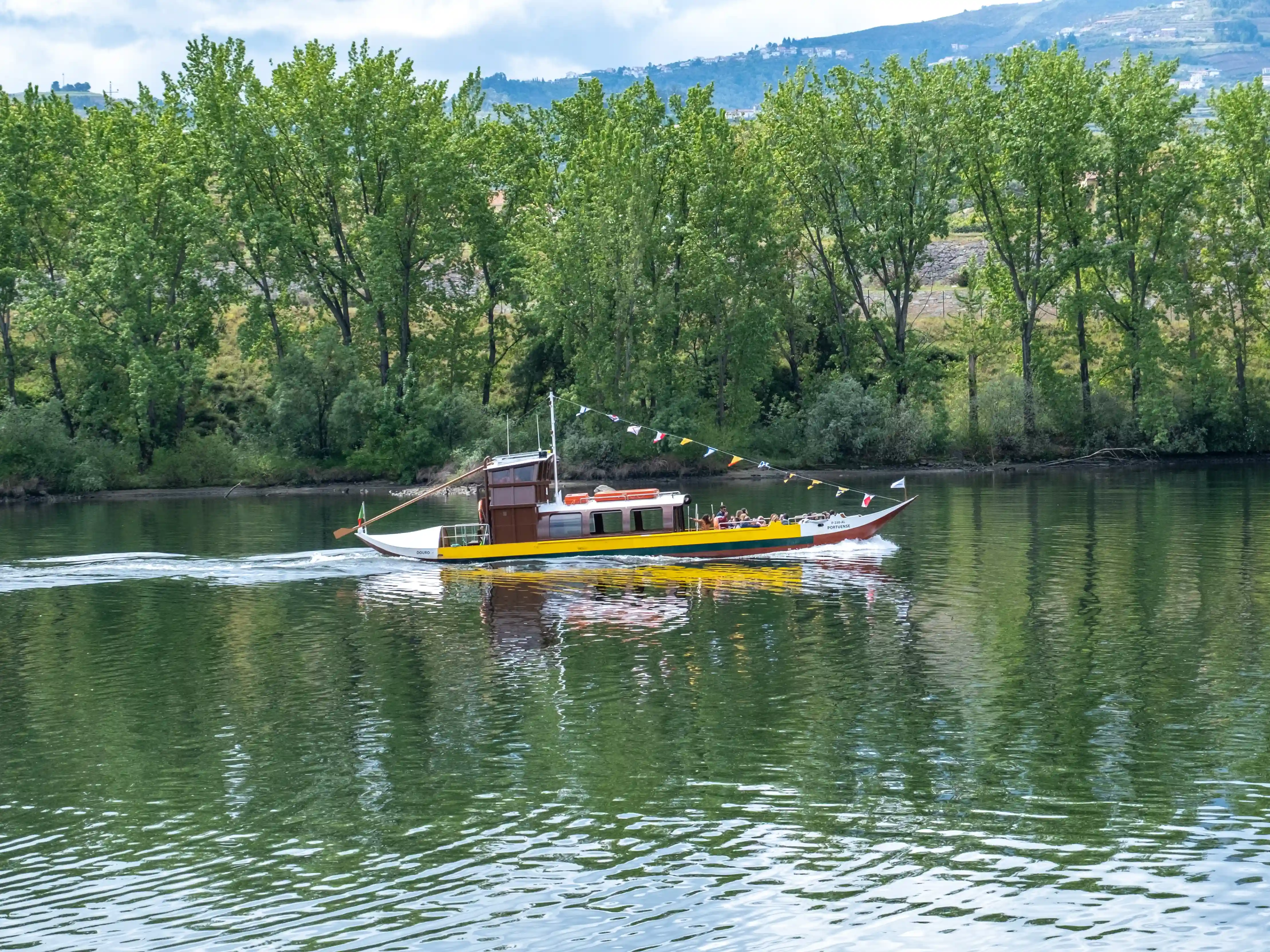 Rio Douro, Lamego